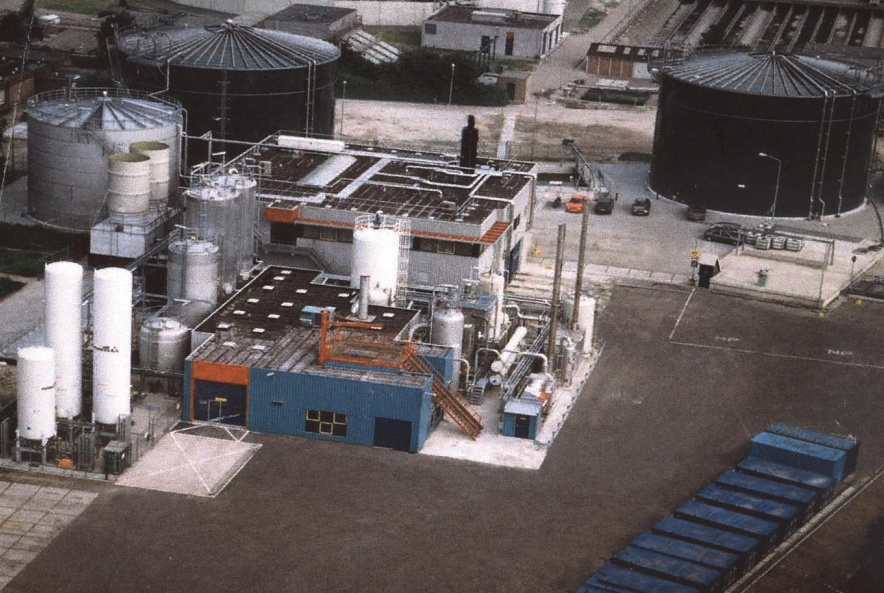 apo plant